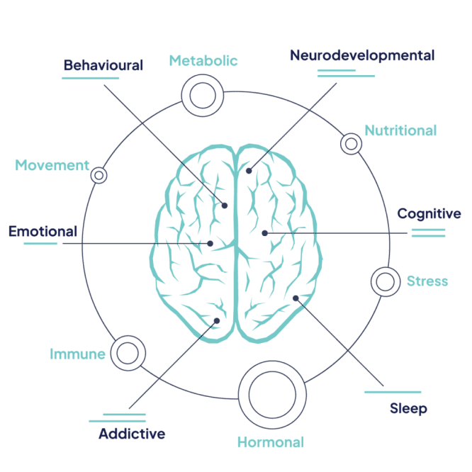 The Sanctum brain health approach in a map